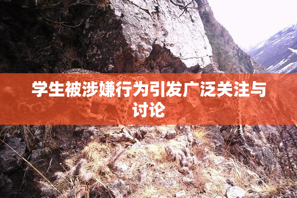 学生被涉嫌行为引发广泛关注与讨论