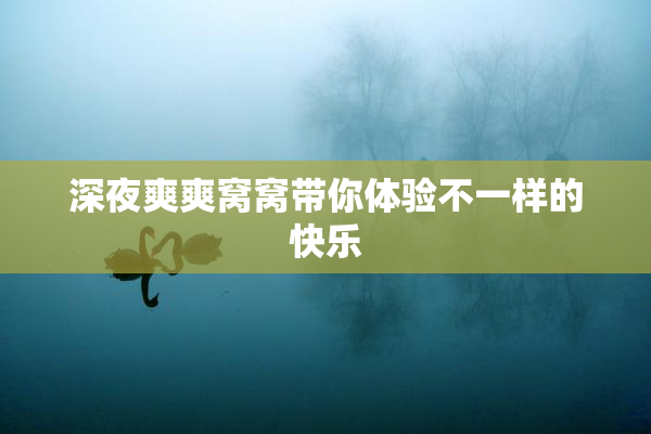 深夜爽爽窝窝带你体验不一样的快乐