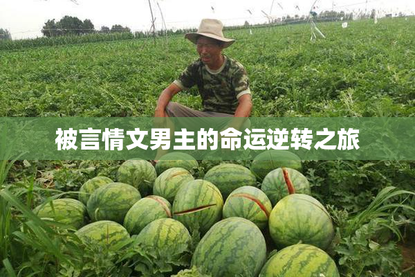 被言情文男主的命运逆转之旅