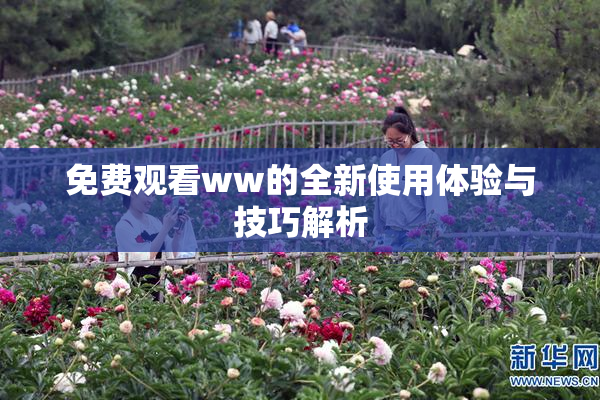 免费观看ww的全新使用体验与技巧解析