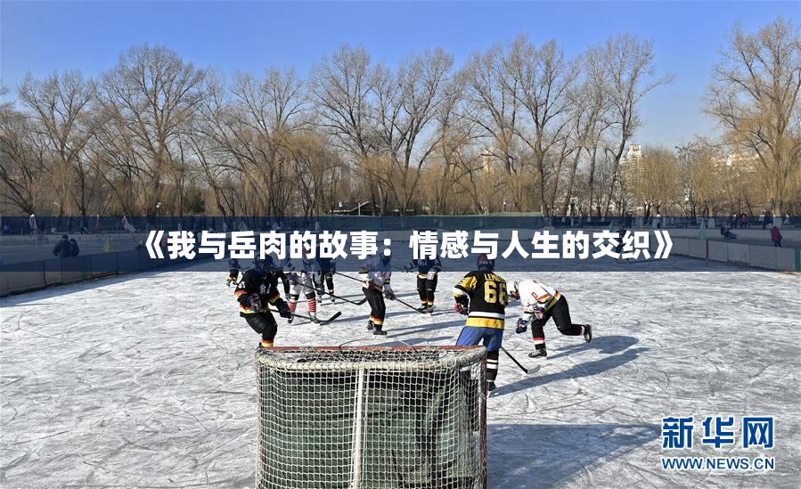 《我与岳肉的故事：情感与人生的交织》