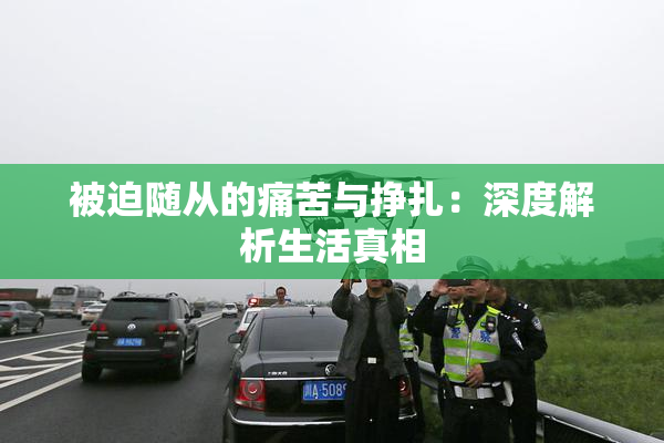 被迫随从的痛苦与挣扎：深度解析生活真相