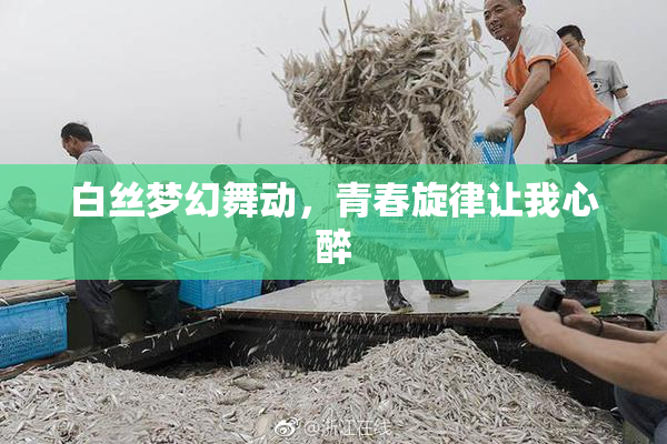 白丝梦幻舞动，青春旋律让我心醉