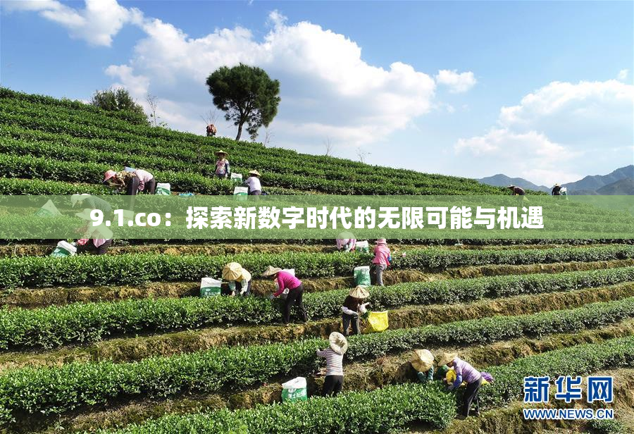 9.1.co：探索新数字时代的无限可能与机遇