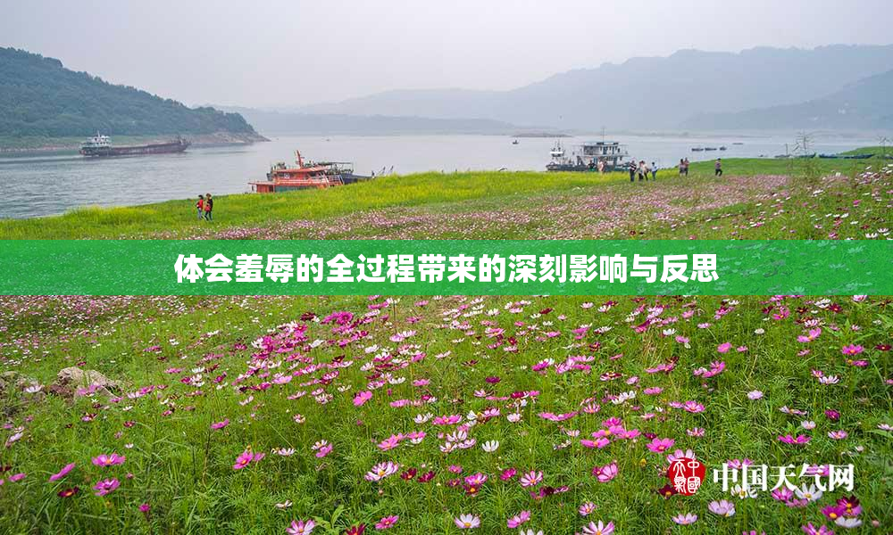 体会羞辱的全过程带来的深刻影响与反思