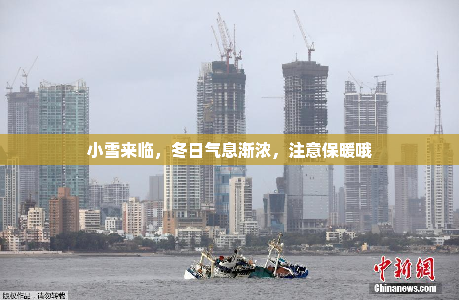 小雪来临，冬日气息渐浓，注意保暖哦