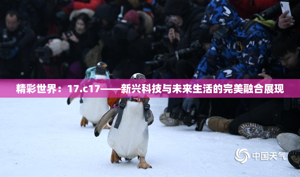 精彩世界：17.c17——新兴科技与未来生活的完美融合展现