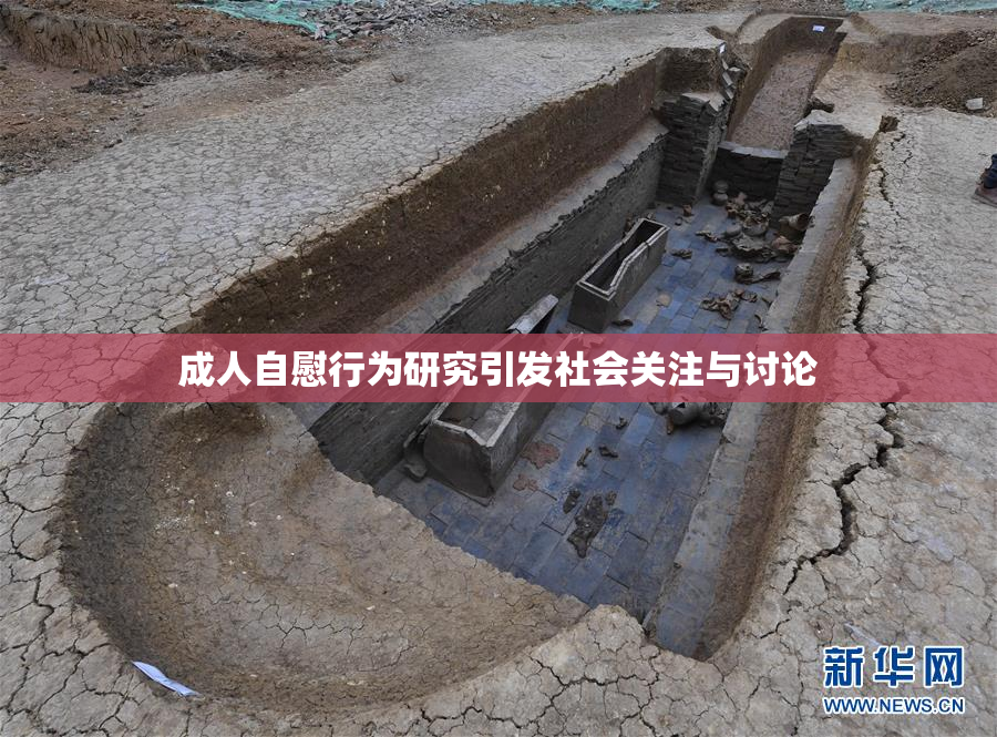 成人自慰行为研究引发社会关注与讨论