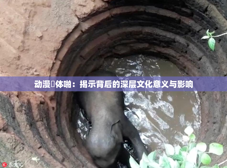 动漫祼体啪：揭示背后的深层文化意义与影响