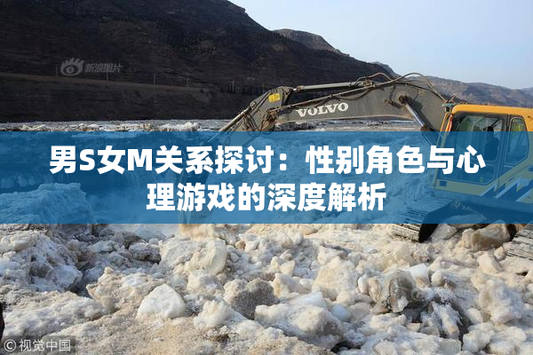 男S女M关系探讨：性别角色与心理游戏的深度解析