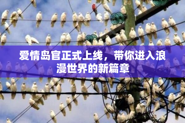 爱情岛官正式上线，带你进入浪漫世界的新篇章