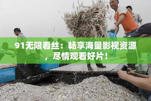 91无限看丝：畅享海量影视资源，尽情观看好片！