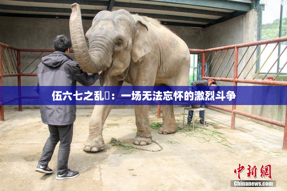 伍六七之乱婬：一场无法忘怀的激烈斗争