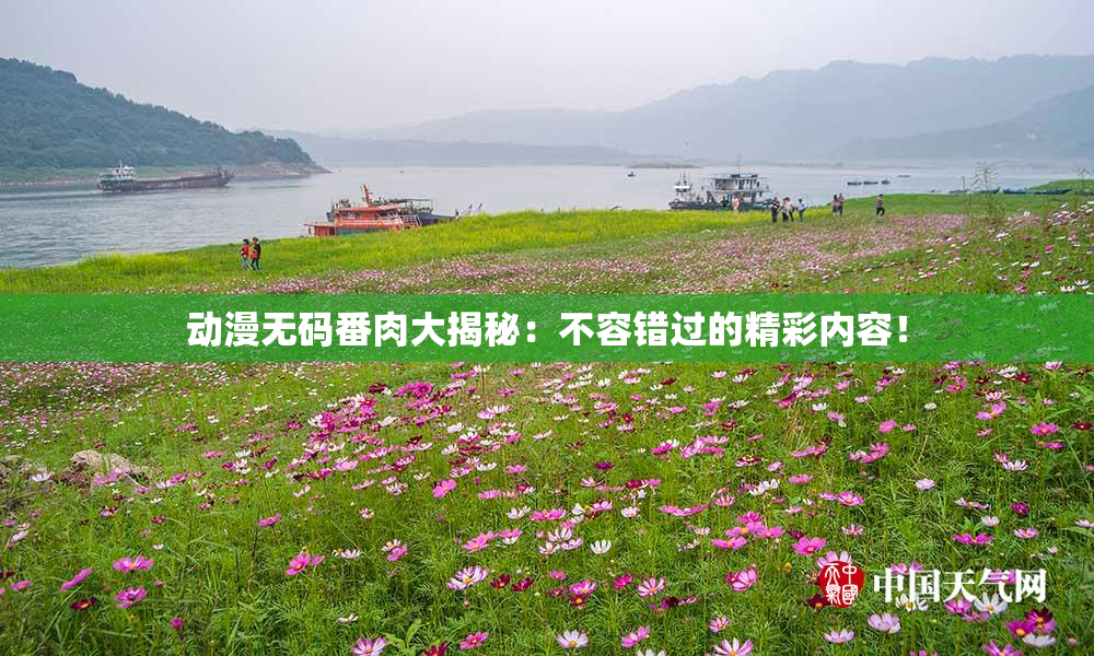 动漫无码番肉大揭秘：不容错过的精彩内容！