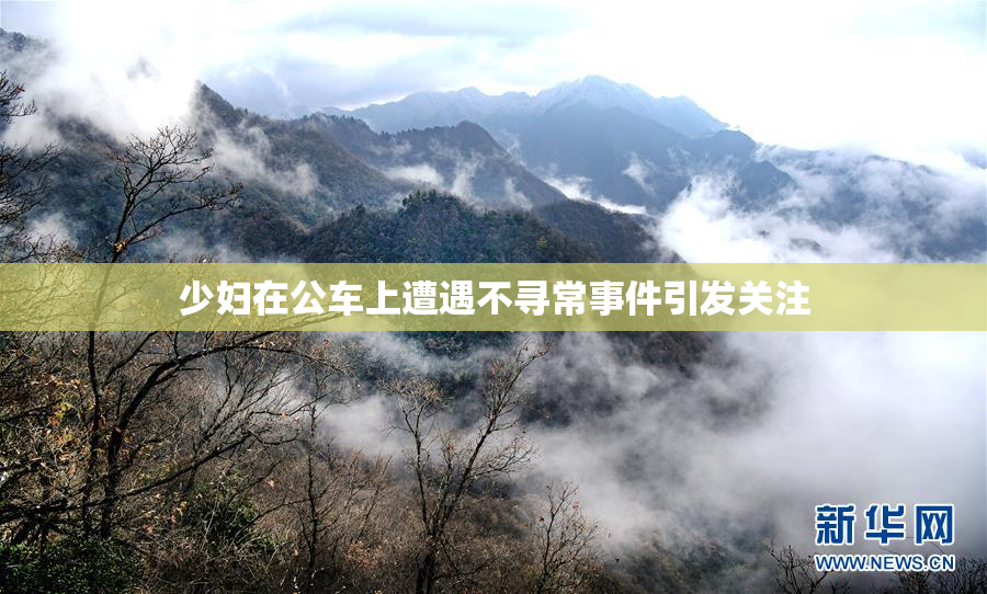 少妇在公车上遭遇不寻常事件引发关注