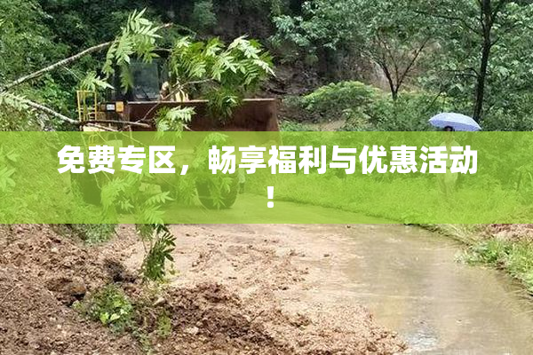 免费专区，畅享福利与优惠活动！
