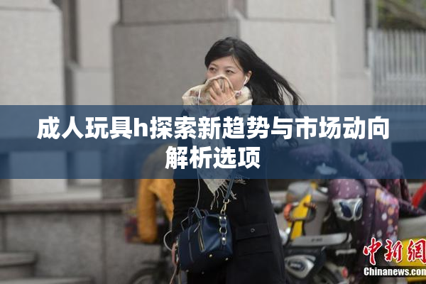 成人玩具h探索新趋势与市场动向解析选项