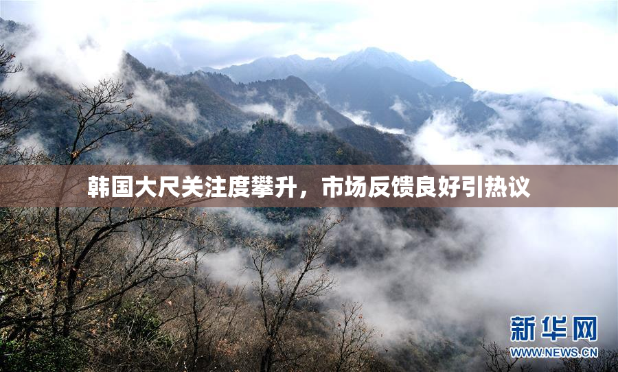 韩国大尺关注度攀升，市场反馈良好引热议