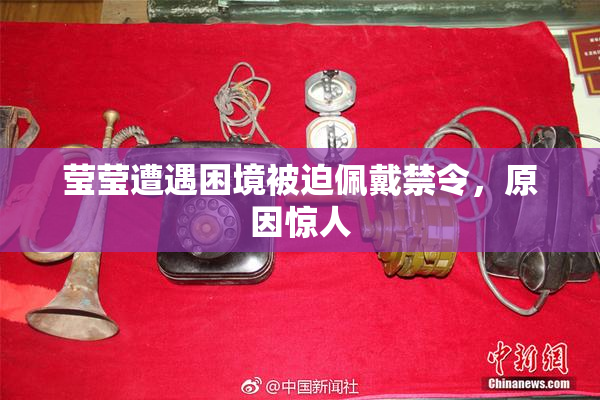 莹莹遭遇困境被迫佩戴禁令，原因惊人