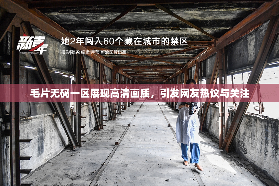 毛片无码一区展现高清画质，引发网友热议与关注