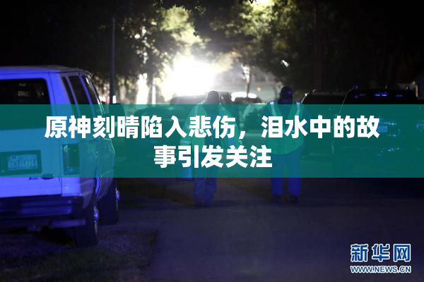 原神刻晴陷入悲伤，泪水中的故事引发关注