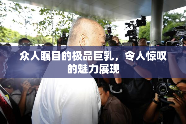 众人瞩目的极品巨乳，令人惊叹的魅力展现