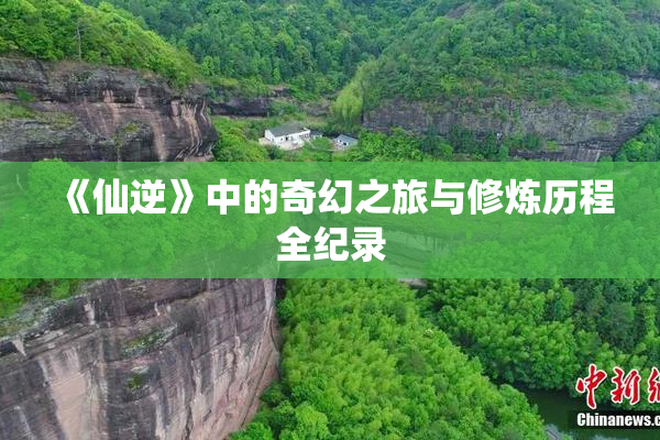 《仙逆》中的奇幻之旅与修炼历程全纪录