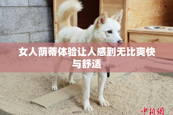 女人荫蒂体验让人感到无比爽快与舒适