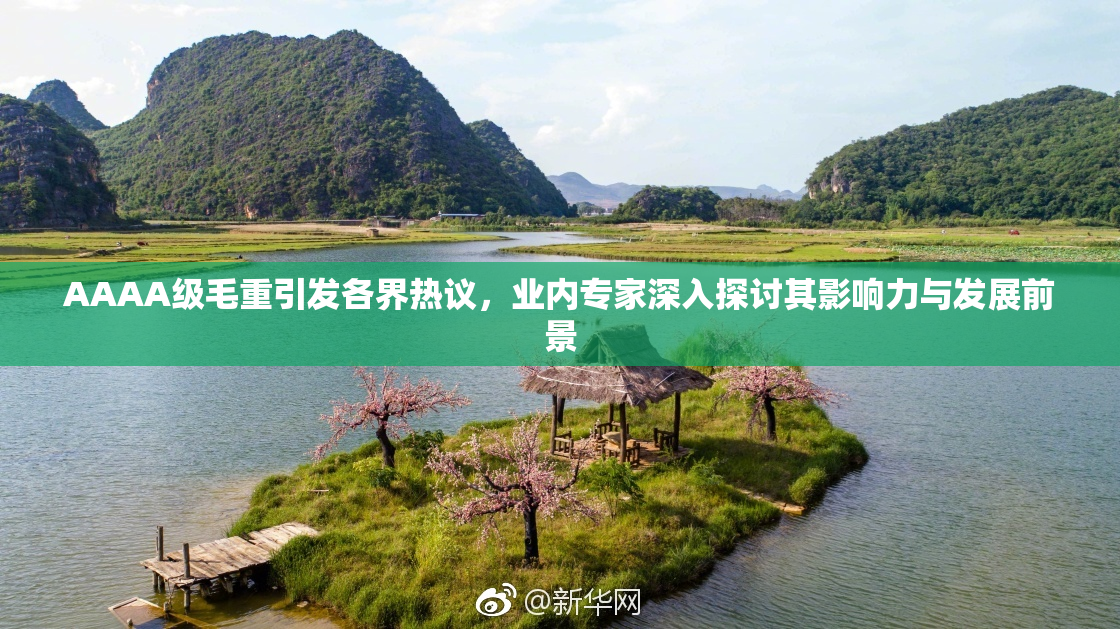 AAAA级毛重引发各界热议，业内专家深入探讨其影响力与发展前景