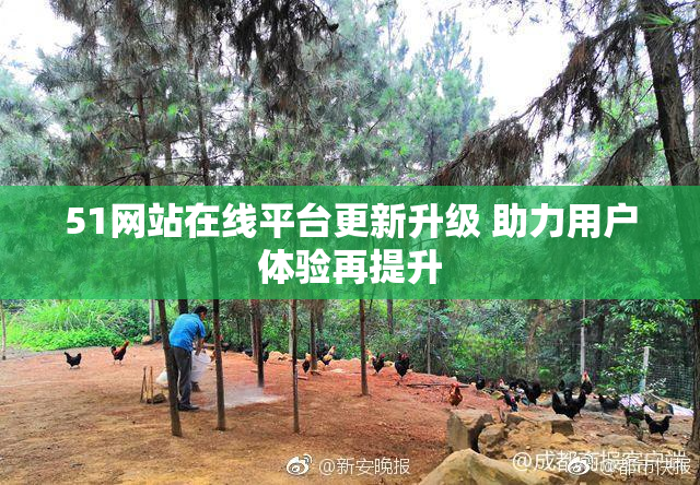 51网站在线平台更新升级 助力用户体验再提升