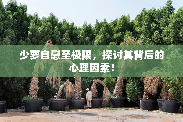 少萝自慰至极限，探讨其背后的心理因素！