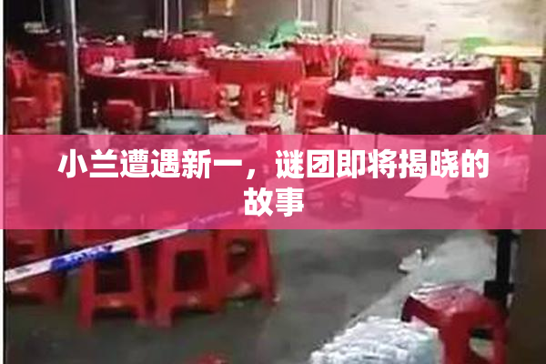 小兰遭遇新一，谜团即将揭晓的故事