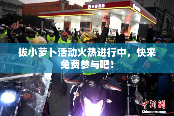 拔小萝卜活动火热进行中，快来免费参与吧！