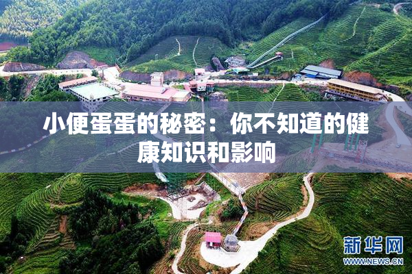 小便蛋蛋的秘密：你不知道的健康知识和影响