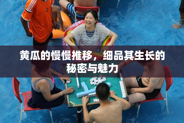 黄瓜的慢慢推移，细品其生长的秘密与魅力