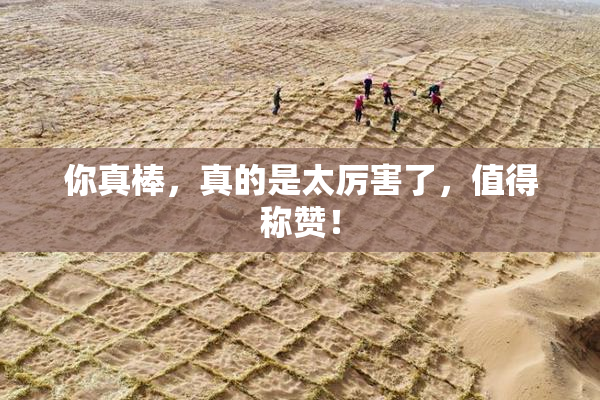 你真棒，真的是太厉害了，值得称赞！