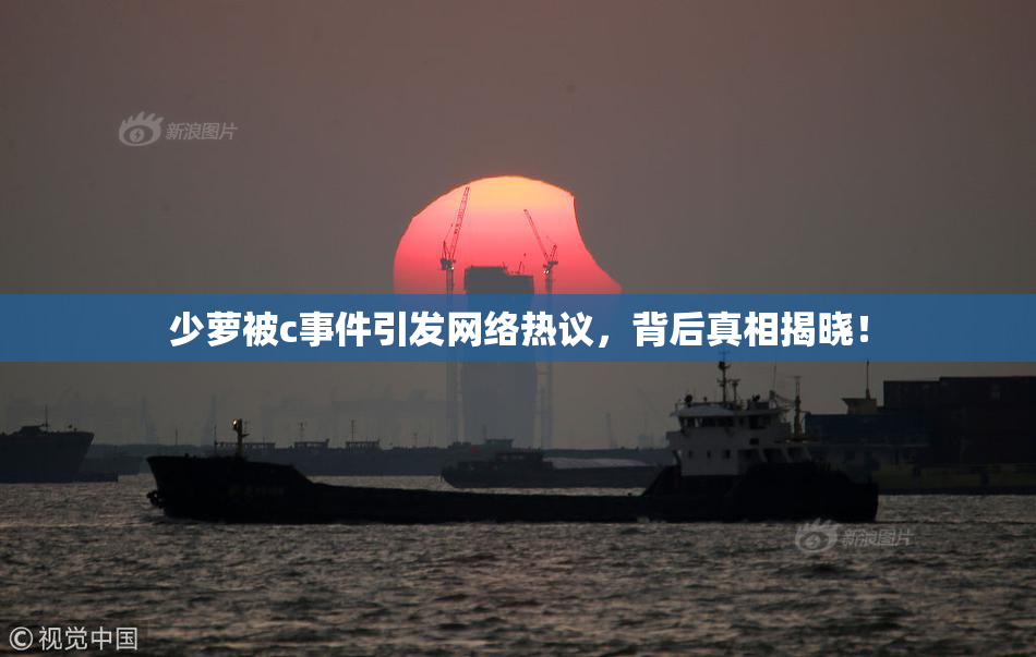 少萝被c事件引发网络热议，背后真相揭晓！