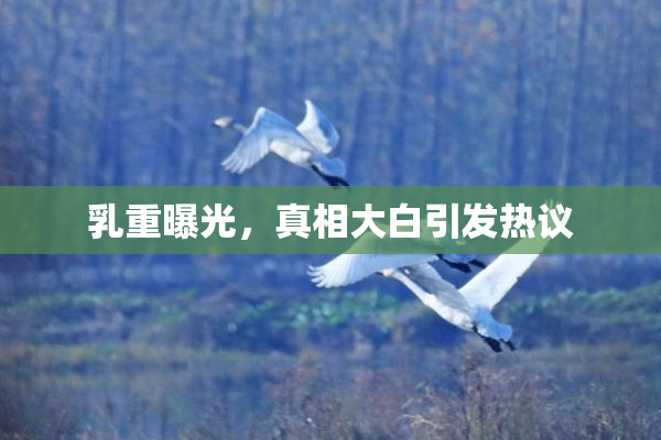 乳重曝光，真相大白引发热议