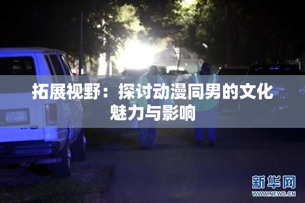 拓展视野：探讨动漫同男的文化魅力与影响