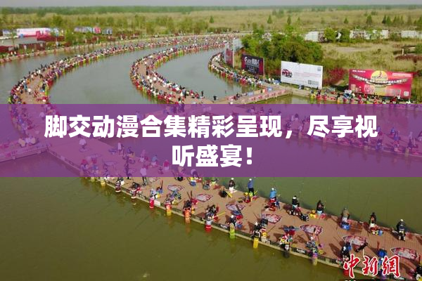 脚交动漫合集精彩呈现，尽享视听盛宴！
