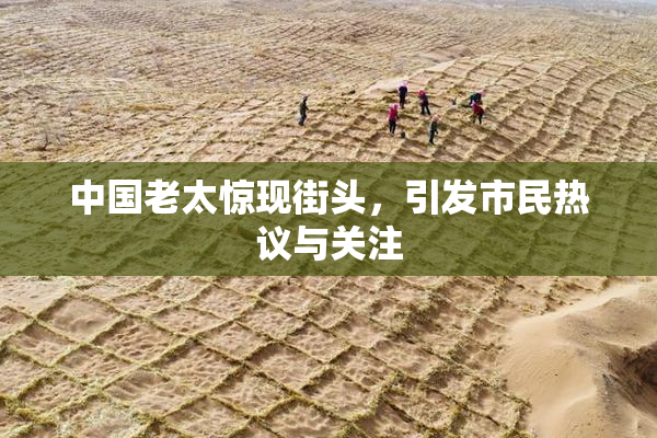 中国老太惊现街头，引发市民热议与关注