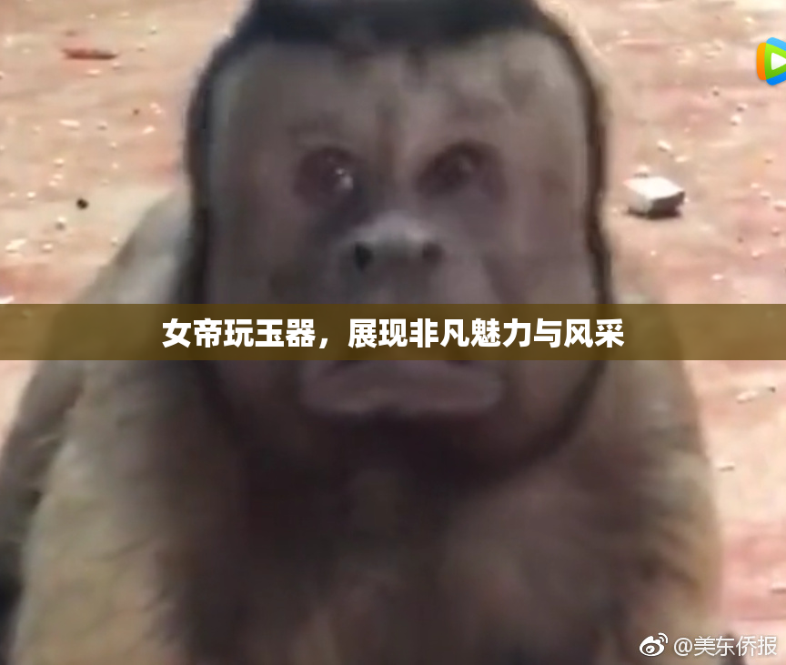 女帝玩玉器，展现非凡魅力与风采