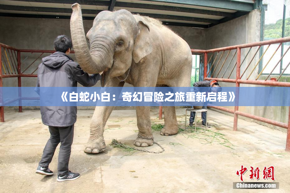 《白蛇小白：奇幻冒险之旅重新启程》