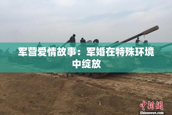 军营爱情故事：军婚在特殊环境中绽放