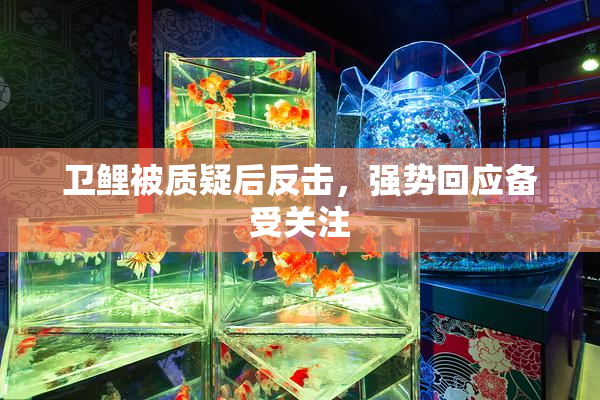 卫鲤被质疑后反击，强势回应备受关注
