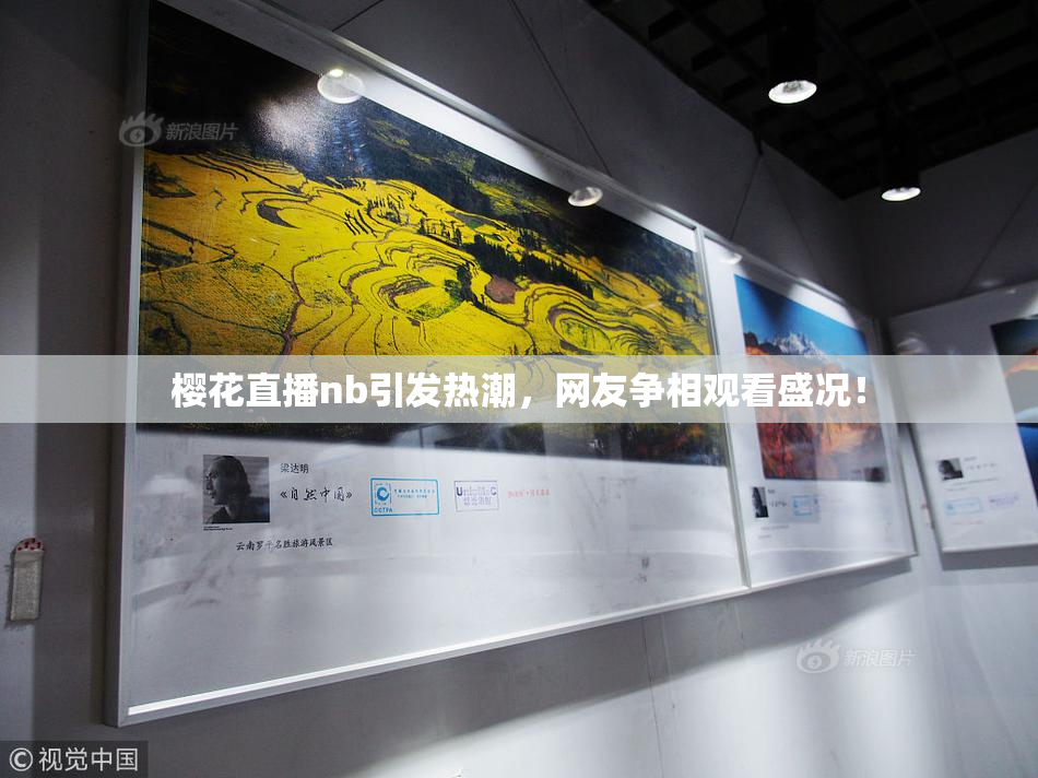 樱花直播nb引发热潮，网友争相观看盛况！