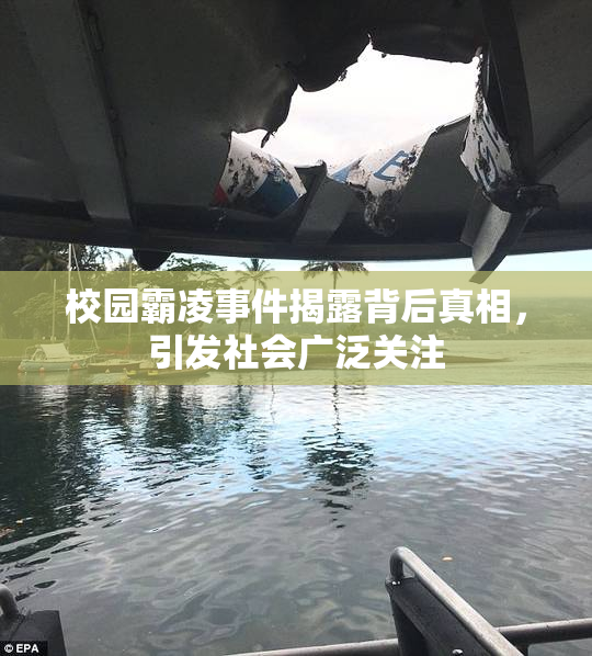校园霸凌事件揭露背后真相，引发社会广泛关注