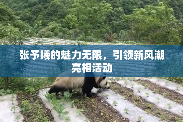 张予曦的魅力无限，引领新风潮亮相活动