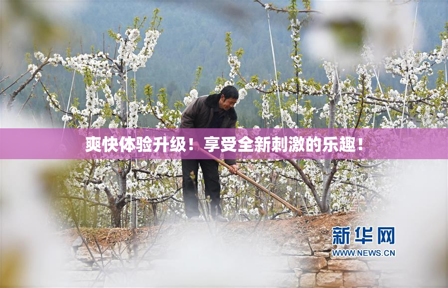 爽快体验升级！享受全新刺激的乐趣！