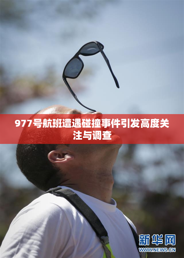 977号航班遭遇碰撞事件引发高度关注与调查